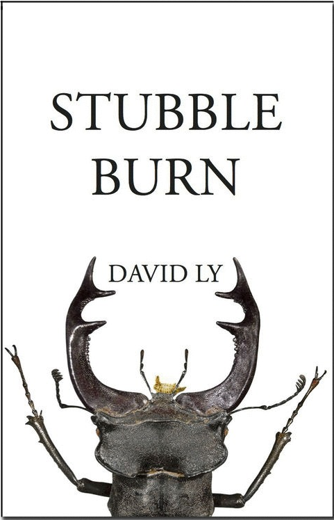 david-ly-stubble-burn