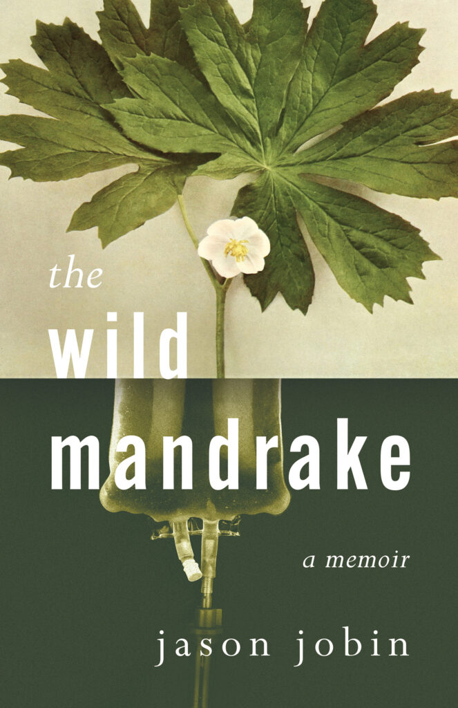 the wild mandrake by jason jobin book cover